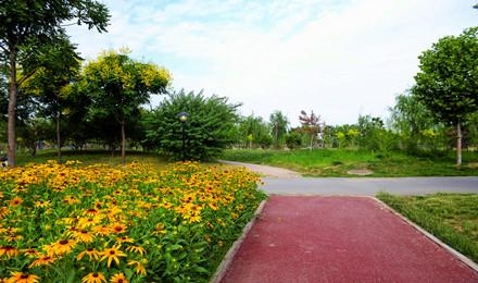 深泽县人民公园设计施工总承包